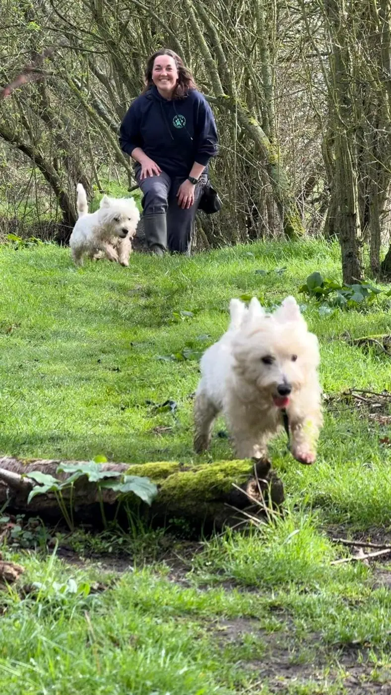 Jennie watching two dogs running freely outdoors in the Essex countryside
