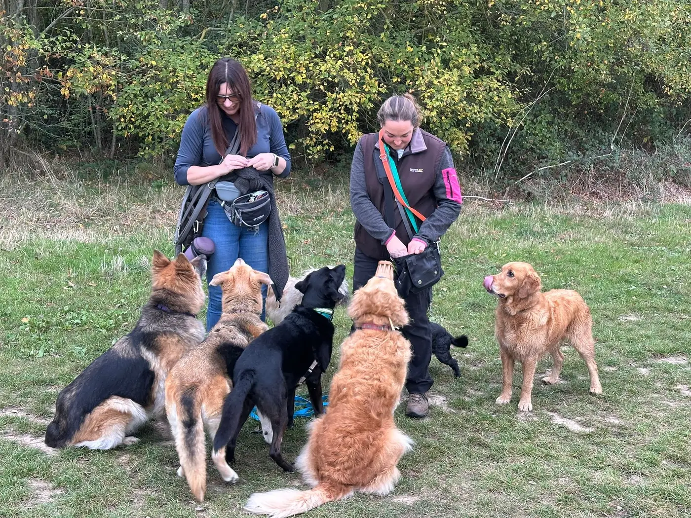 Jennie and another dog walker managing a carefully balanced social group walk near Southend