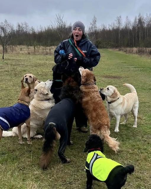 Home 2 Socil dog walk with Jennie